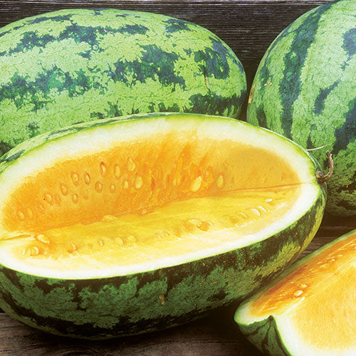 Orangeglo Watermelon Seeds