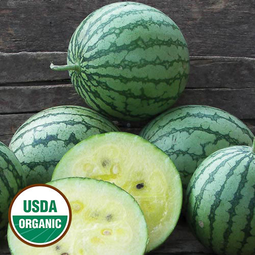 Petite Yellow Watermelon Seeds, Organic