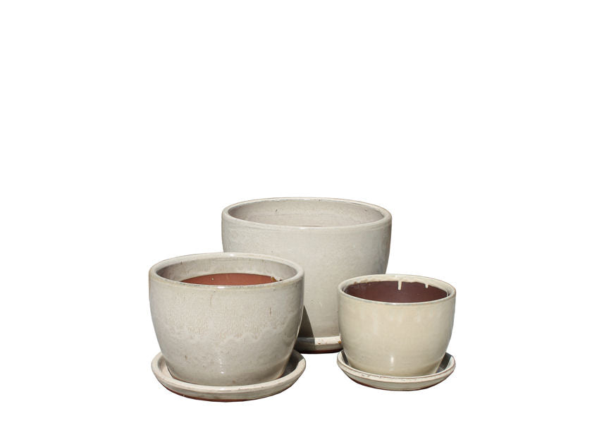 white ceramic planter with saucer Glazed White Round Pot with Saucer Indoor/Outdoor Planter – Plant Material