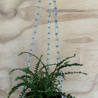 Hanging Bowl with Lip Indoor/Outdoor Planter with plant