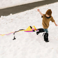 Pocket Parafoil Kite