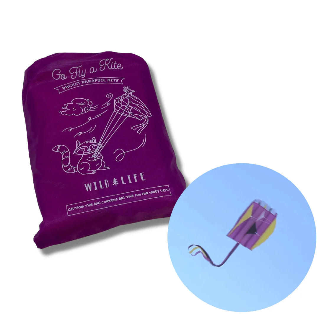 Pocket Parafoil Kite