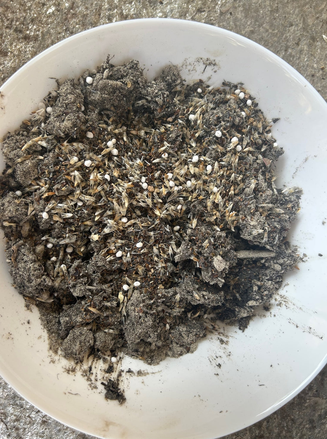 California Native Pollinator Seed added to mix