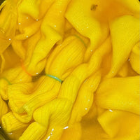 DIY Natural Dye Kit - One Pair of Toddler Socks