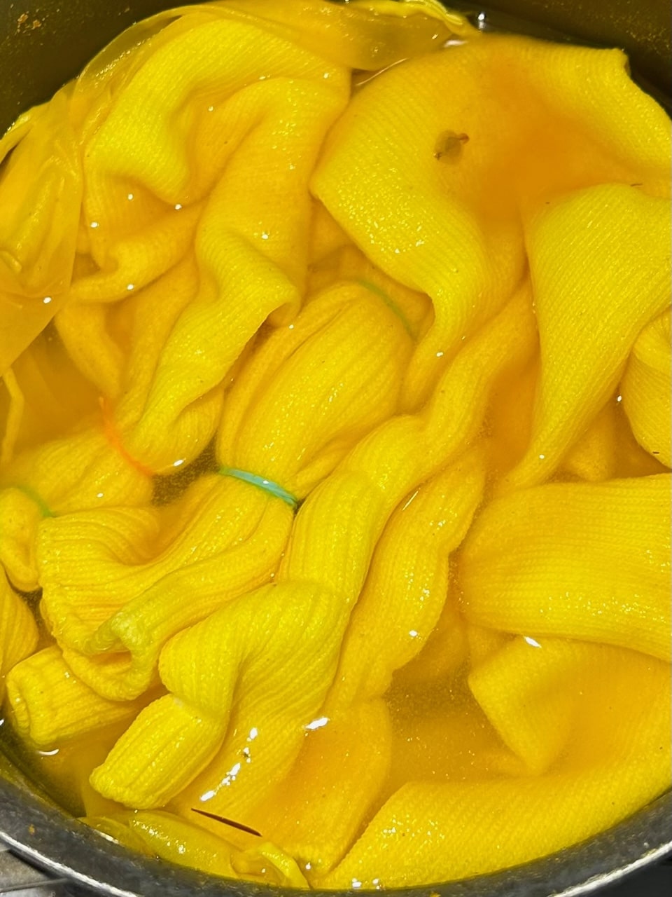 DIY Natural Dye Kit - Silk Gift Wrap