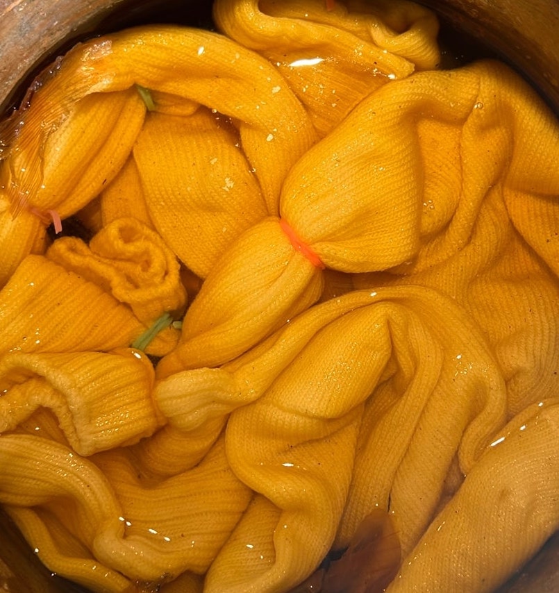 DIY Natural Dye Kit - One Pair of Toddler Socks