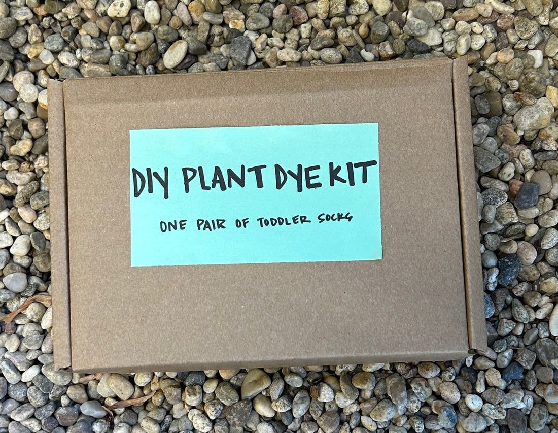 DIY Natural Dye Kit - One Pair of Toddler Socks