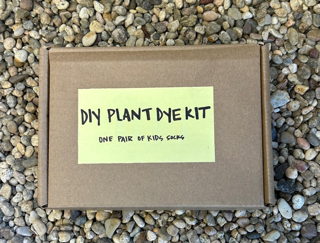 DIY Natural Dye Kit - One Pair of Kids Socks