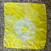 DIY Natural Dye Kit - Silk Gift Wrap