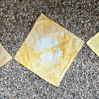 DIY Natural Dye Kit - Four Cotton Napkins