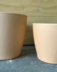 Buff Egg Pots