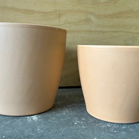 Buff Egg Pots