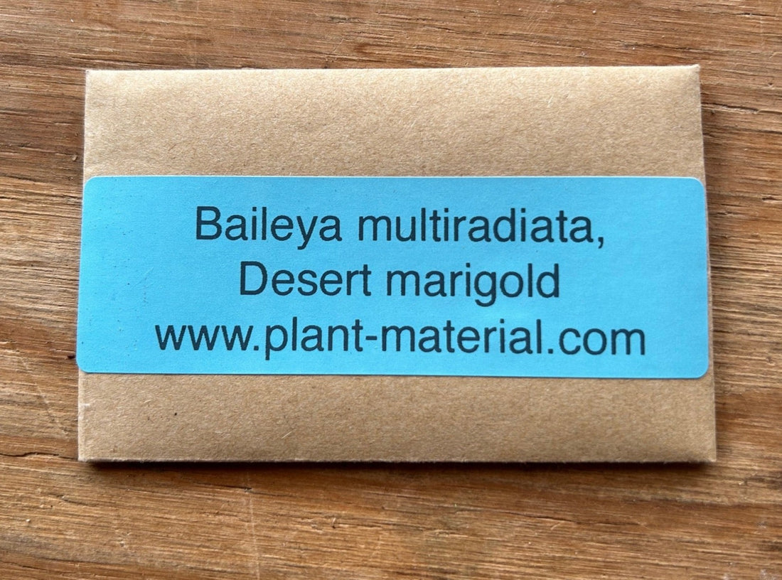 Baileya multiradiata, Desert Marigold Seed Pack