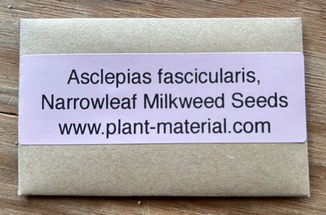 Asclepias fascicularis seeds, Narrowleaf Milkweed Seeds