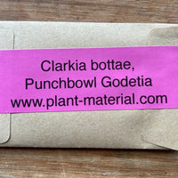 Clarkia bottae, Punchbowl Godetia Seed Pack