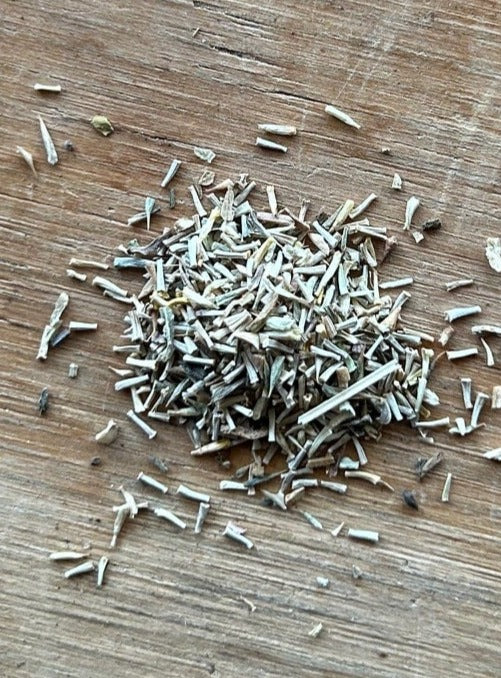 unique marigold seeds Baileya multiradiata, Desert Marigold Seed Pack