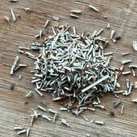 Baileya multiradiata, Desert Marigold Seeds