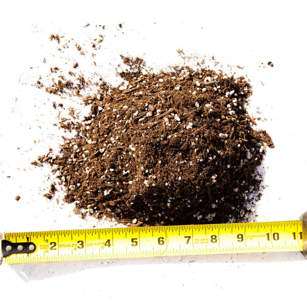 cactus soil LGM organic Cactus Mix 1.5 Cubic Feet – Plant Material