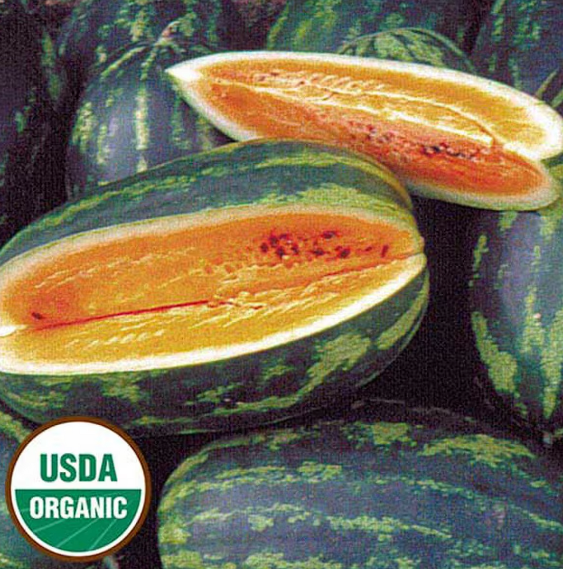 Organic Mountain Sweet Yellow Watermelon