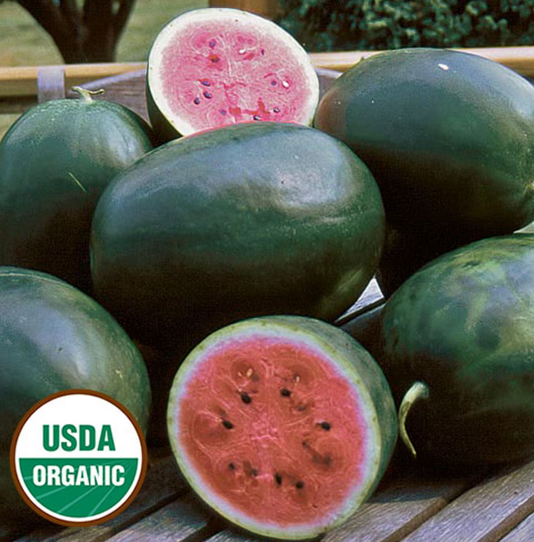 Organic Picnic Watermelon