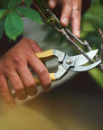 Daikiba Secateurs with Canvas Sheath