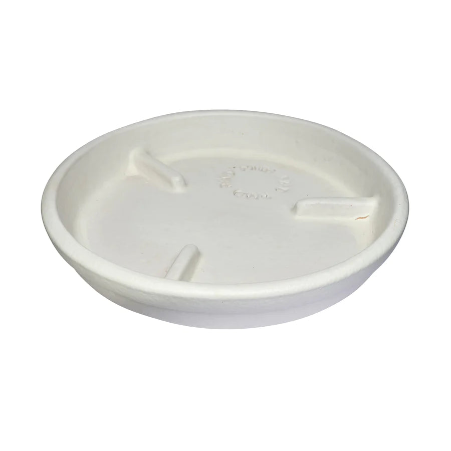 12 Deep Rib Saucer Matte White  Plant Material