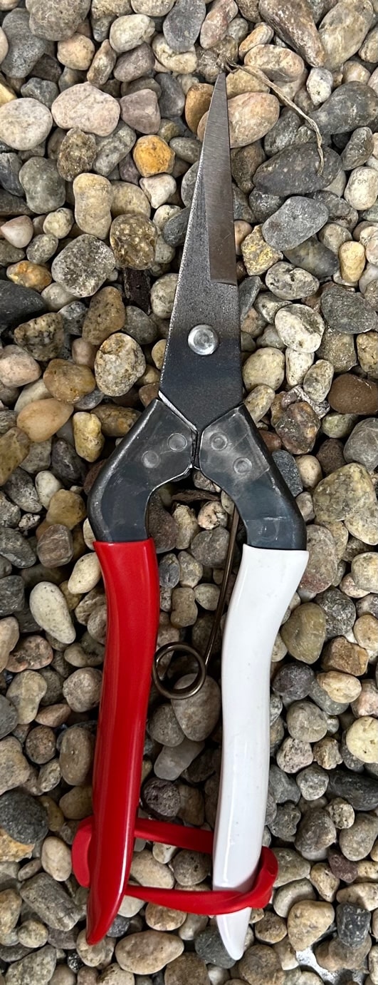 okatsune garden scissors Okatsune Thinning Pruner