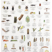 Mac's Field Guide