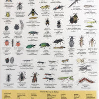 Mac's Field Guide