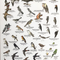 Mac's Field Guide