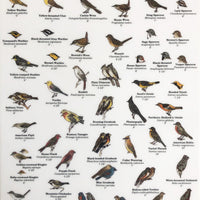 Mac's Field Guide
