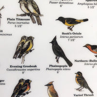 Mac's Field Guide