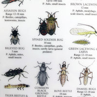 Mac's Field Guide