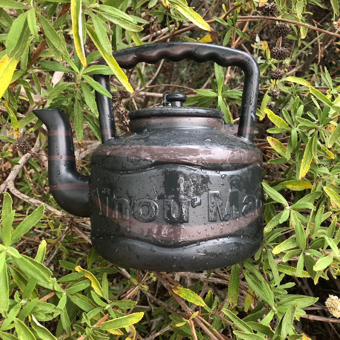 Recycled Plastic Watering Can