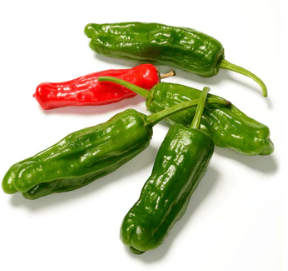 Organic Shishito Hot Pepper Seeds