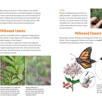 100 Plants to Feed the Monarch