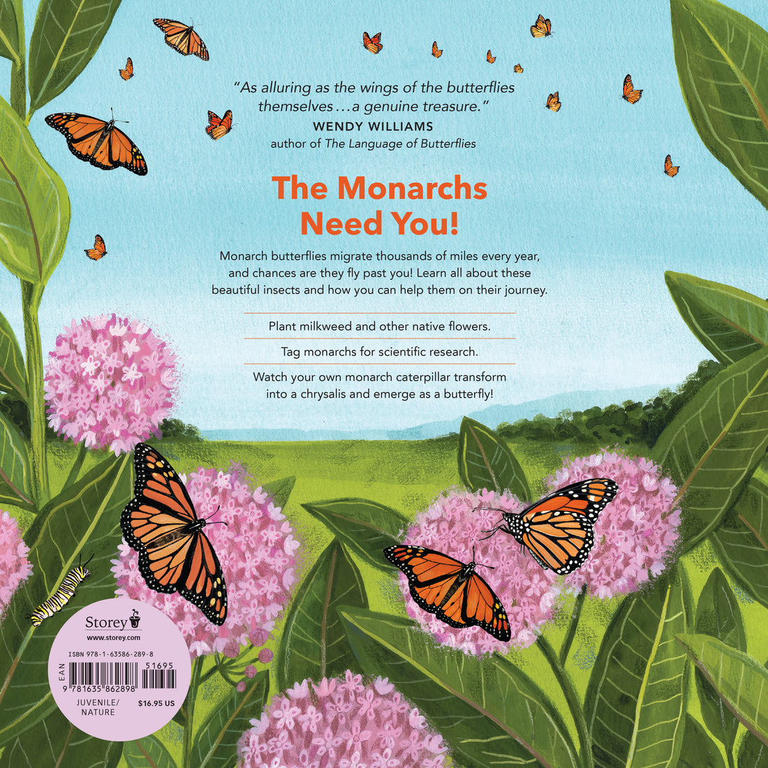 Monarch Butterflies