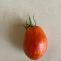 Organic Speckled Roman Tomato - Please call shop for availability