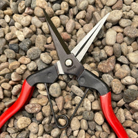 Niwaki Garden Snips
