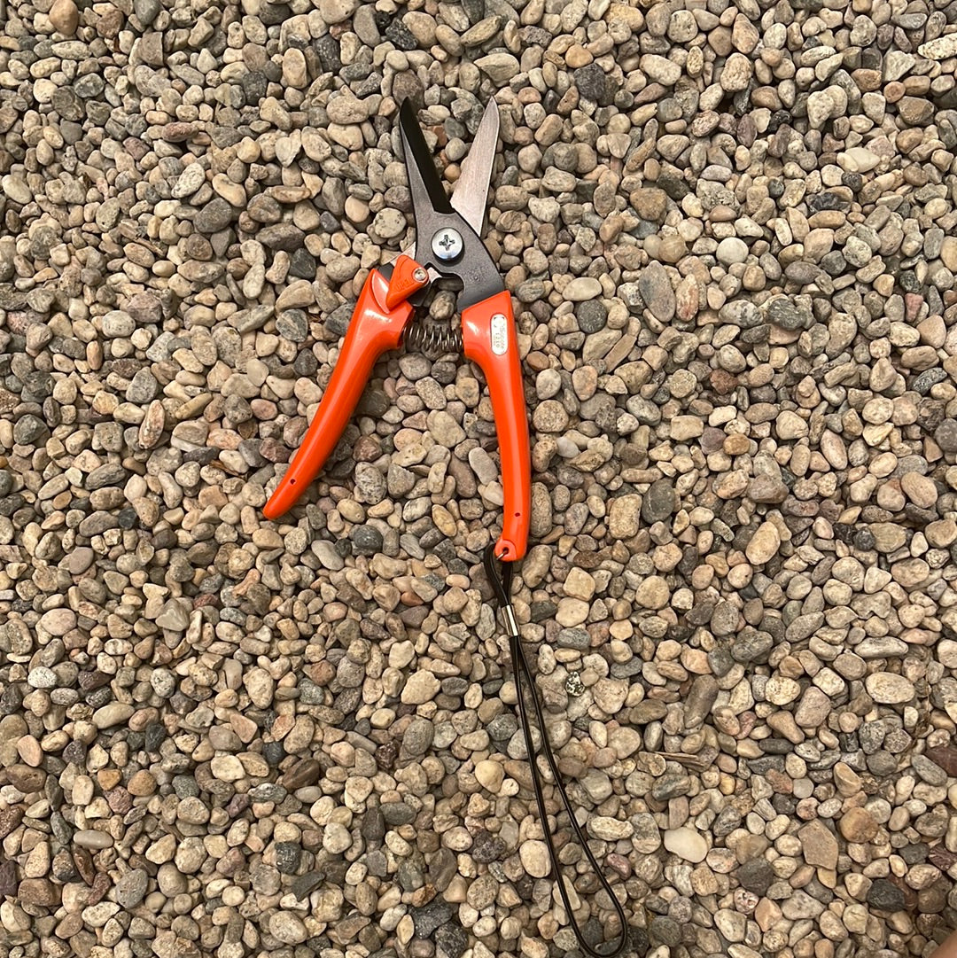 Saboten Slimmer Trimmer Pruning Shears