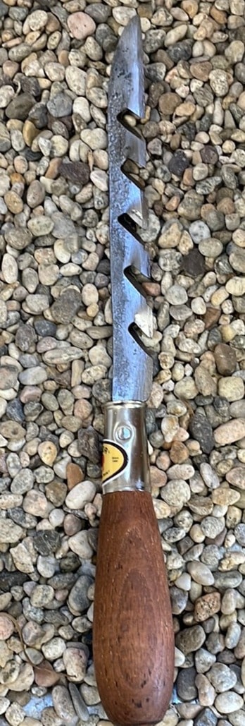 Red Pig Root Saw