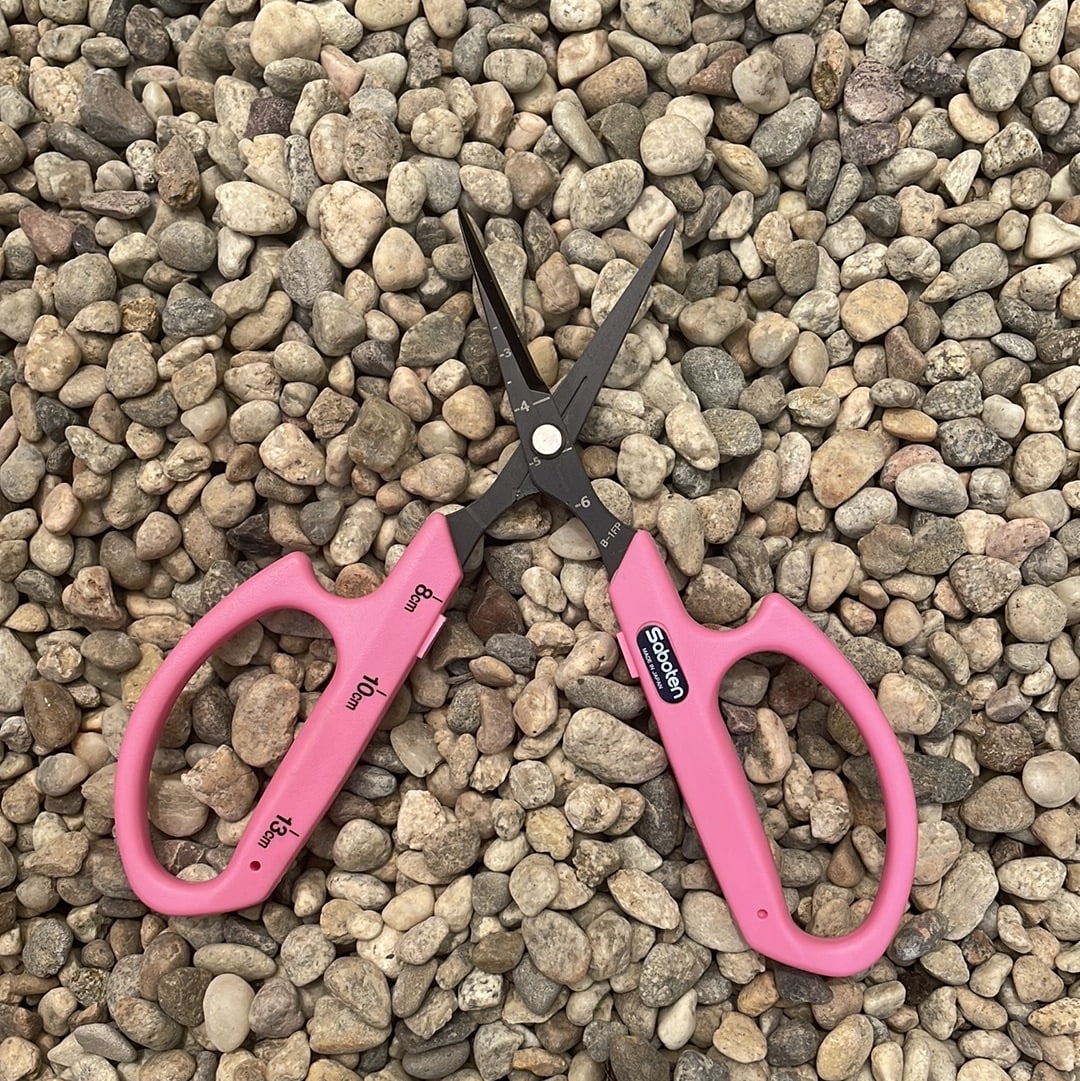 Saboten B-1 Stainless Steel Scissors