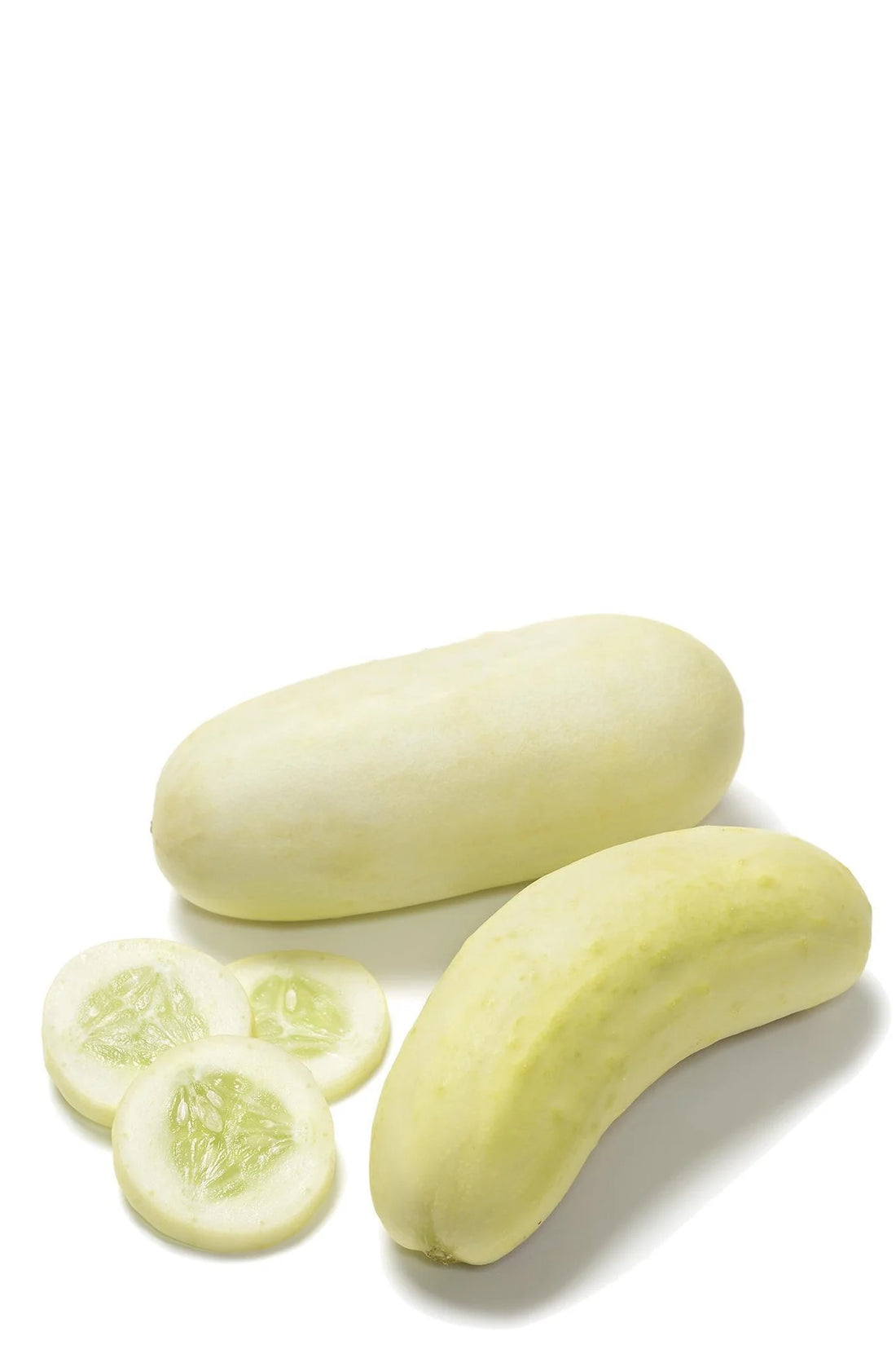Organic Boothby’s Blonde Cucumber - Cucumis sativus