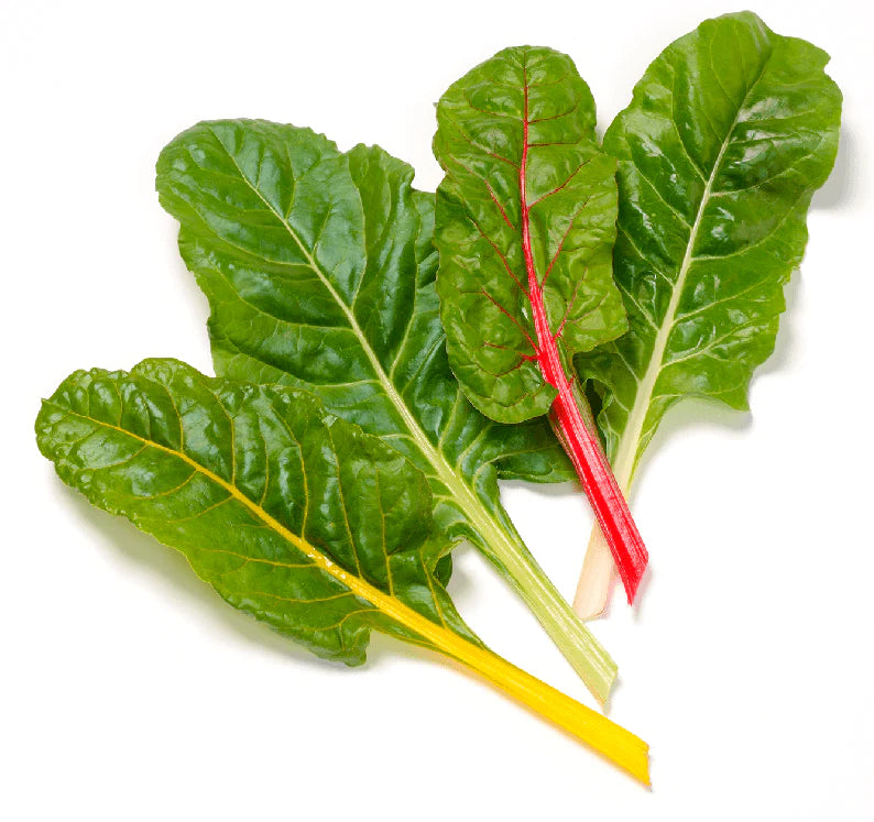 Organic Rainbow Swiss Chard - Beta vulgaris
