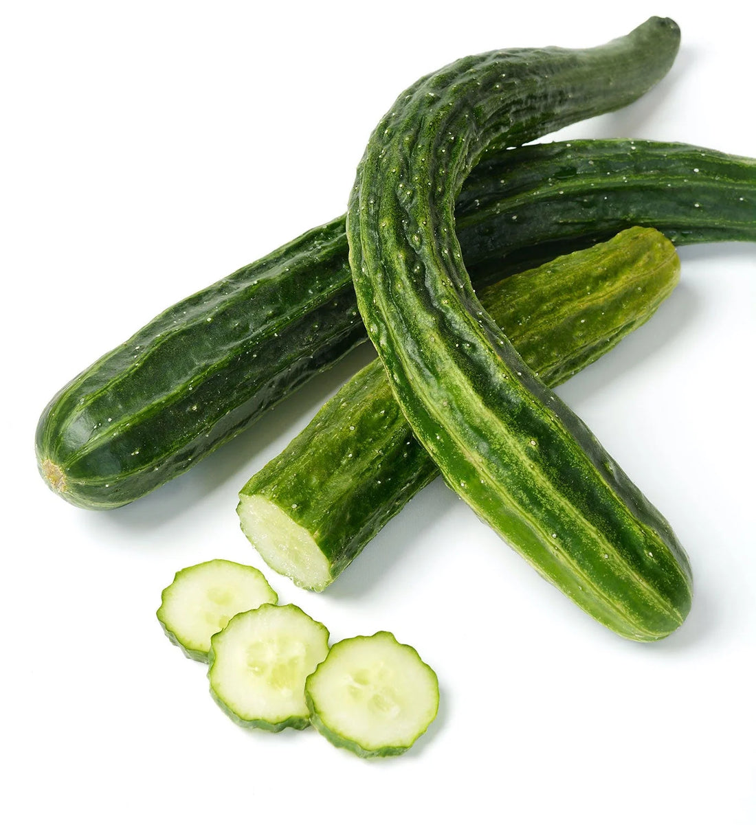 Organic Suyo Long Cucumber - Cucumis sativus Seeds