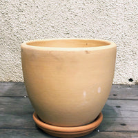4.3” Bell Saucer
