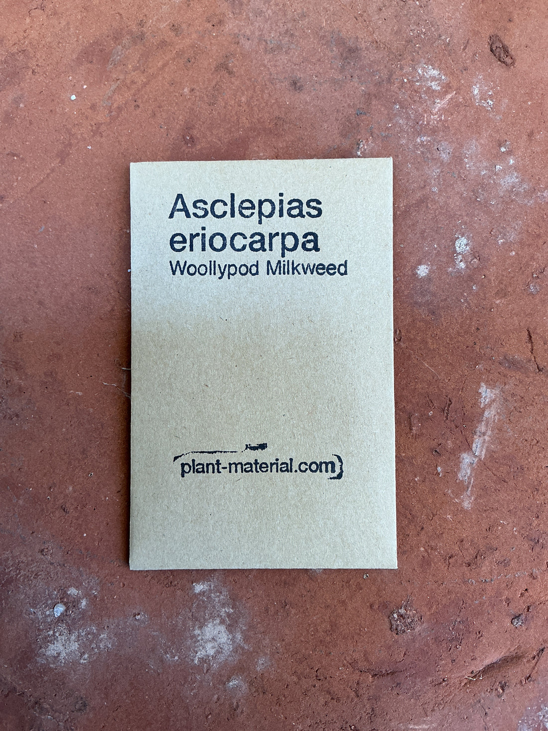 Asclepias eriocarpa, California Monarch Milkweed Seed Pack