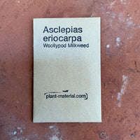 Asclepias eriocarpa, California Monarch Milkweed Seed Pack