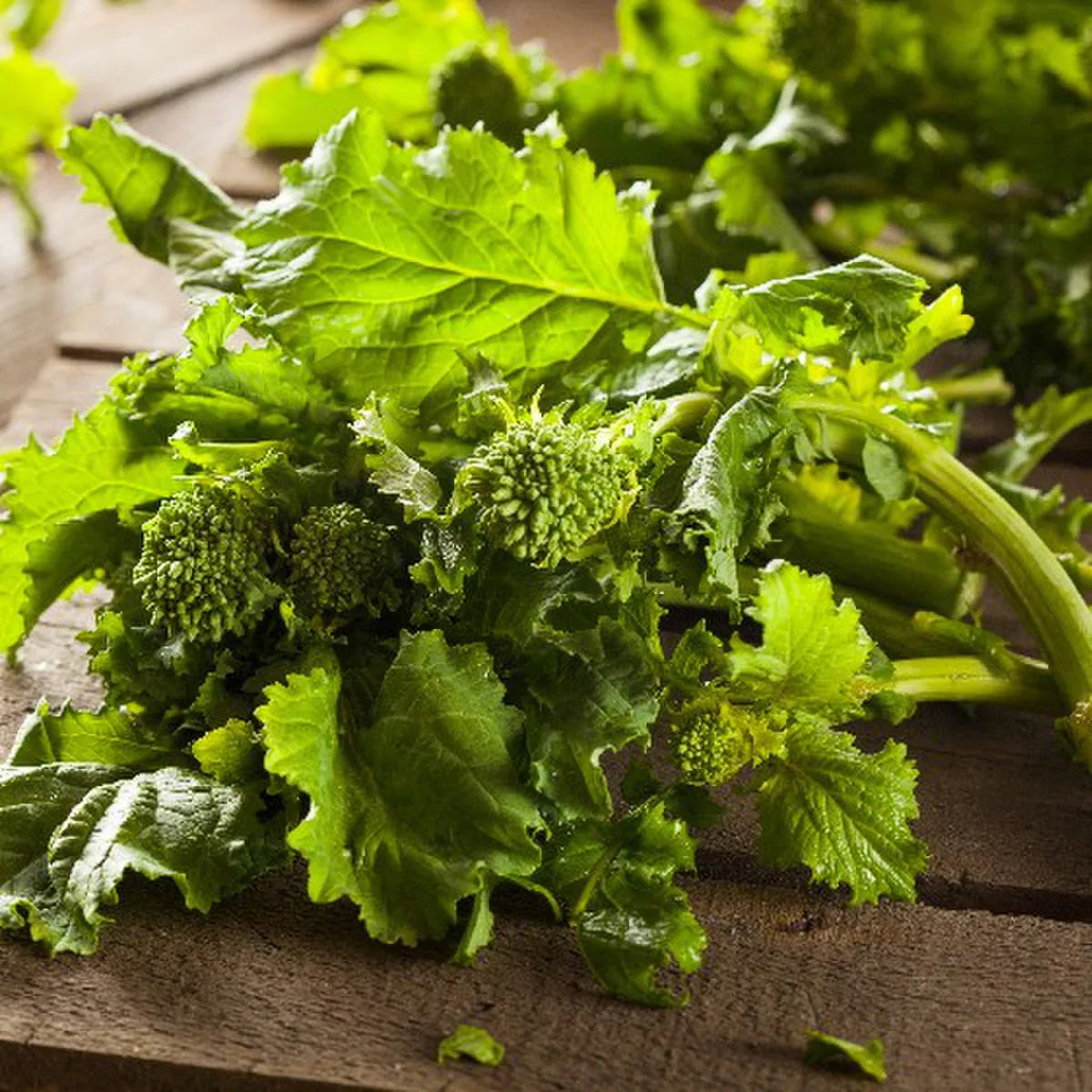 Organic Spring Rapini Broccoli Raab Seeds