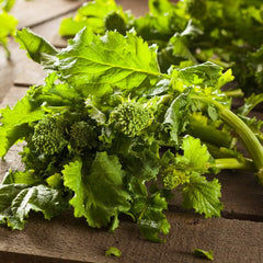 Organic Spring Rapini Broccoli Raab Seeds